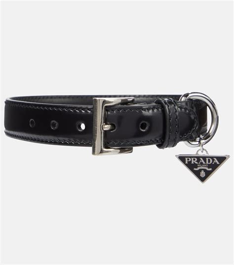 prada dog collars for sale.